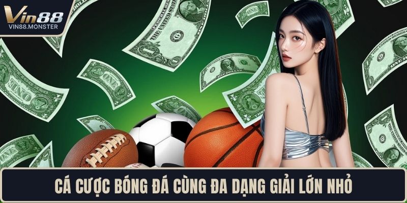 Cá cược bóng đá cùng đa dạng giải lớn nhỏ