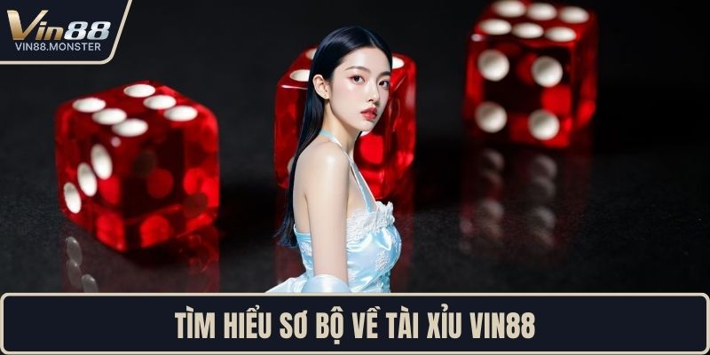 Tìm hiểu sơ bộ về tài xỉu VIN88